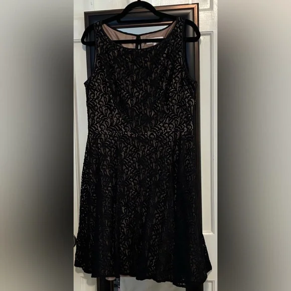 Black Lace Fit-and-Flare Dress - Elegant Evening Wear - Picture 4 of 8